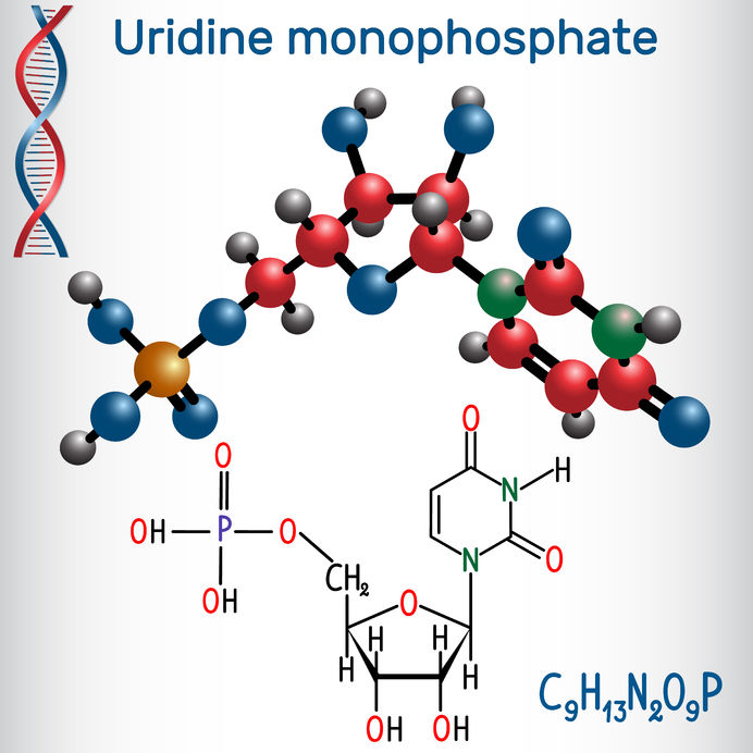 Uridina monofosfato