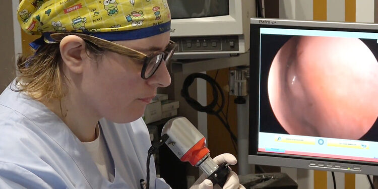 Papillomi nasali, cosa sono e come si manifestano