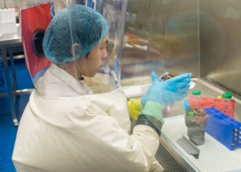 Il mistero delle sequenze del coronavirus cancellate a inizio pandemia