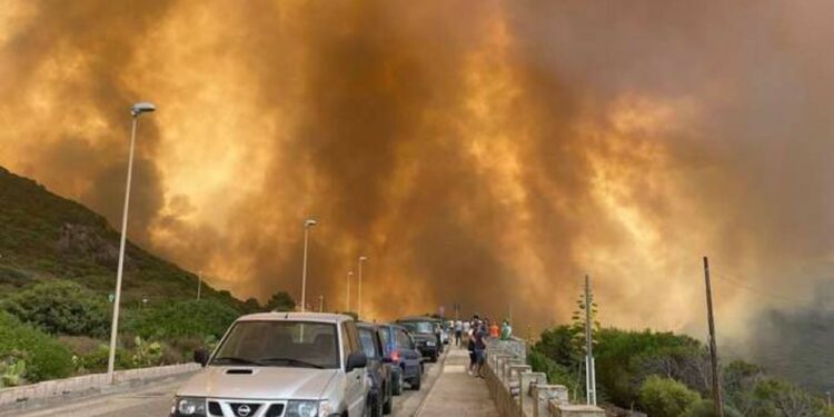 Quali danni ambientali stanno facendo gli incendi in Sardegna