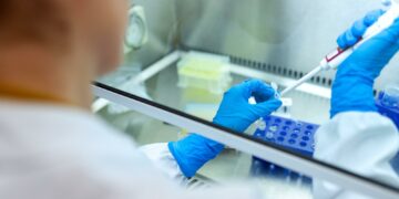 Immunità innata Covid: come funziona il meccanismo che resiste anche a Omicron