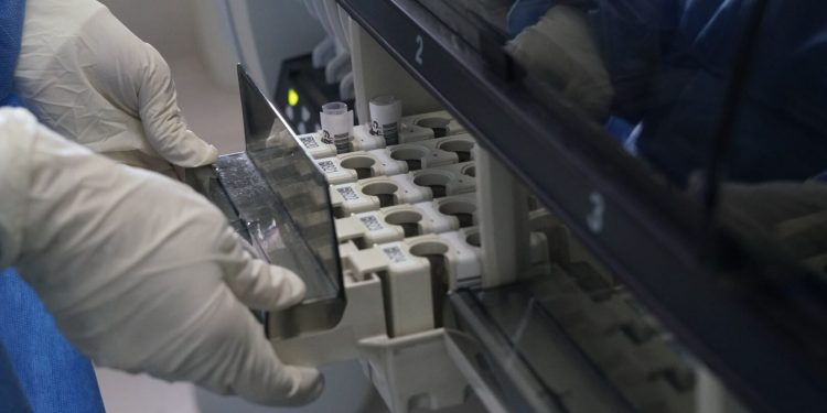 Che cos’è il vaiolo delle scimmie