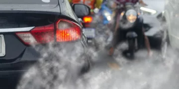 Allergie e inquinamento