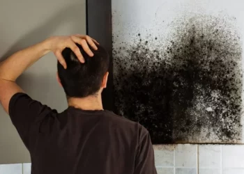 Rinite allergica anche in estate? La colpa potrebbe essere delle muffe