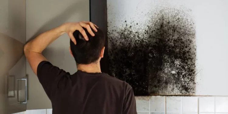 Rinite allergica anche in estate? La colpa potrebbe essere delle muffe