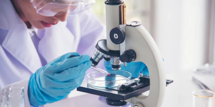 Un caso di colera in Sardegna: riparte la narrazione del terrore