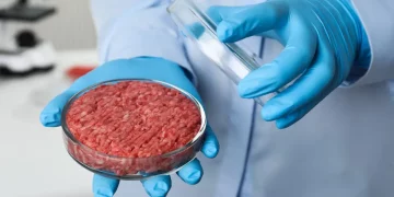 Che cos’è la carne coltivata e perché viene vietata in Italia
