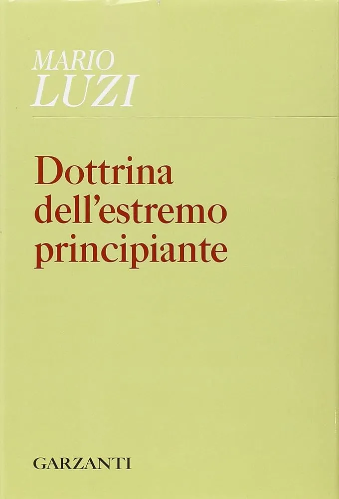 Dottrina dell’estremo principiante di Mario Luzi