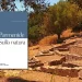 Un viaggio sulle tracce di Parmenide: alla ricerca della Verità tra rovine e poesia